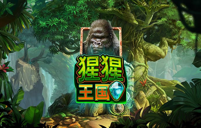 港澳宝典1133开奖网